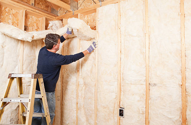 Types of Insulation We Offer in Plymouth, NC